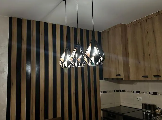 아파트 Stan U Centru,